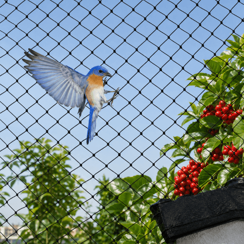 antibirdnets