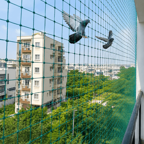 pigeonsafetynets